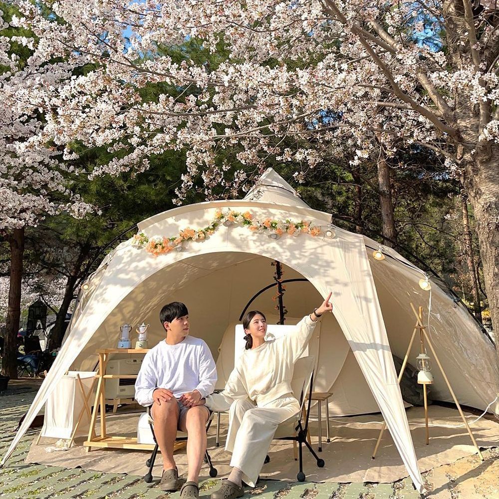 穹顶天幕超大遮阳棚户外野营野餐公园露营帐篷便携式防风防雨天幕